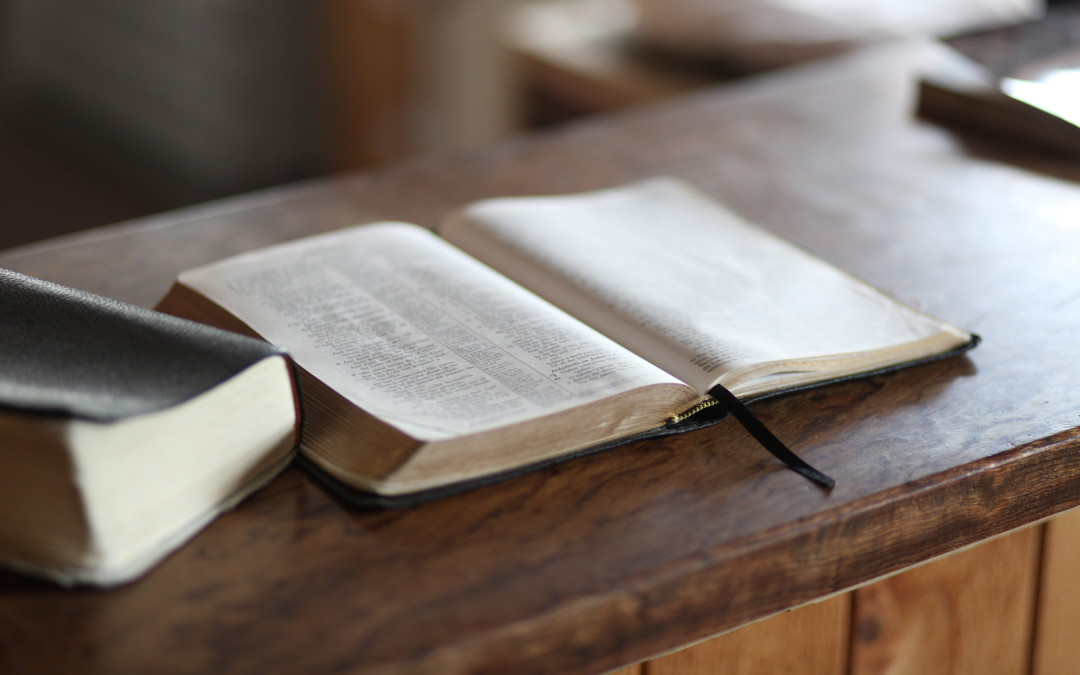 Bible open on a wooden bench